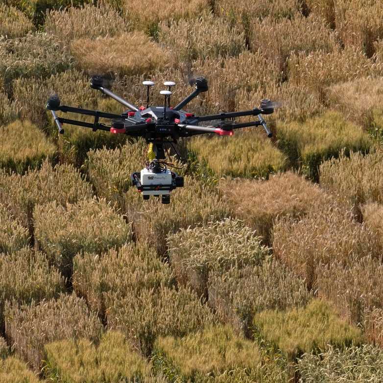Vergr?sserte Ansicht: Hexacopter 601: Eine Drohne fliegt über eine Anbaufläche, um zu erkennen, wie viel Dünger ein Feld benötigt.