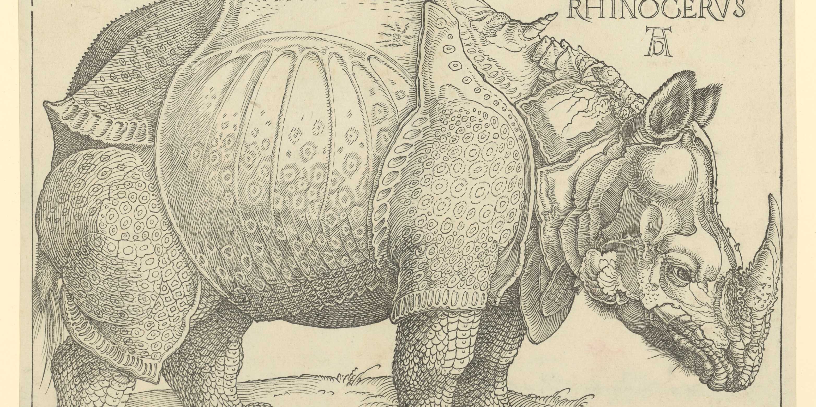 ALBRECHT DÜRER (1471–1528) Rhinocerus, 1515