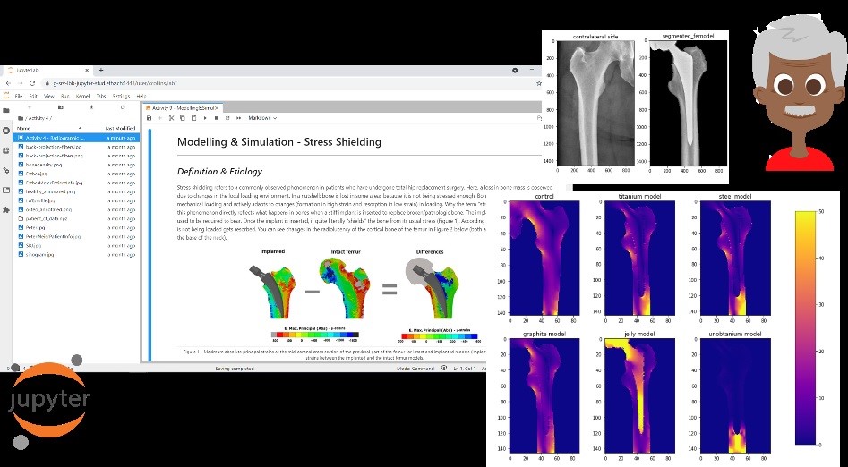 JupyterHub Interface and visualizations from the Modelling and Simulation Fundamentals Activity