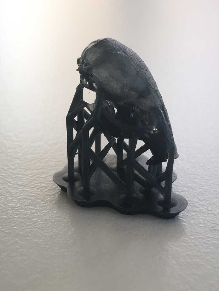 Black 3D printed rat skull