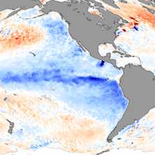 Vergr?sserte Ansicht: Sea Surface Temperature Anomaly
