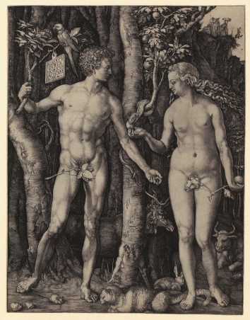 Vergr?sserte Ansicht: Adam und Eva, Albrecht Drer, 1504 (Bild: Graphische Sammlung ETH Zrich)