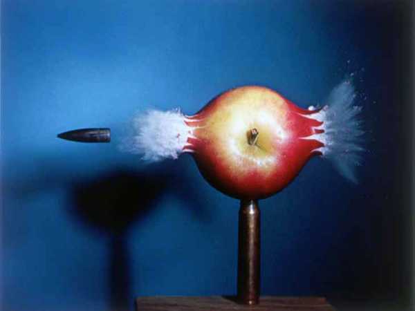 Vergr?sserte Ansicht: Ein Klassiker: ?Kugel durch Apfel? von Harold Edgerton aus dem Jahr 1964. (Bild: ? 2010 MIT. Cour-tesy of MIT Museum)