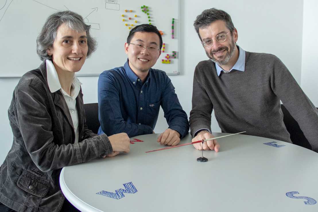 Vergr?sserte Ansicht: Laura Heyderman, Zhaochu Luo und Pietro Gambardella entdeckten das neue Phänomen in Nanomagneten. (Bild: ETH Zürich)