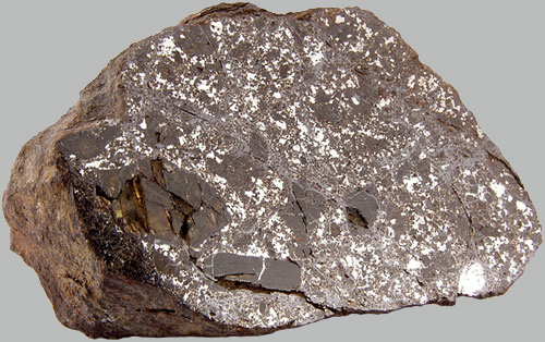 Vergr?sserte Ansicht: Dieser Vaca Muerte Mesosiderit stammt sehr wahrscheinlich von Vesta. (Bild:&nbsp; http://www.meteorites.com.au)