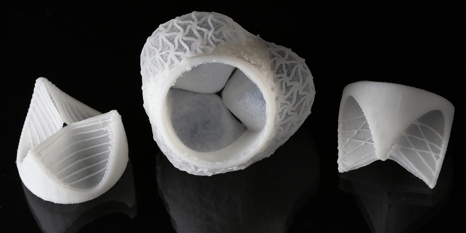 3D-Silikondruck erlaubt es massgeschneiderte Herzklappen zu erzeugen.&nbsp; (Bild: Fergal Coulter / ETH Zürich)