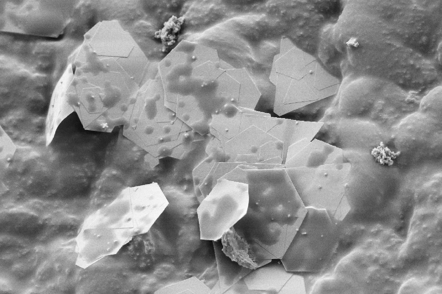Vergr?sserte Ansicht: Gold-Nanoplättchen, die in einer Latexmatrix eingebettet sind. (Bilder: Stephan Handschin/ScopeM/ETH Zürich)