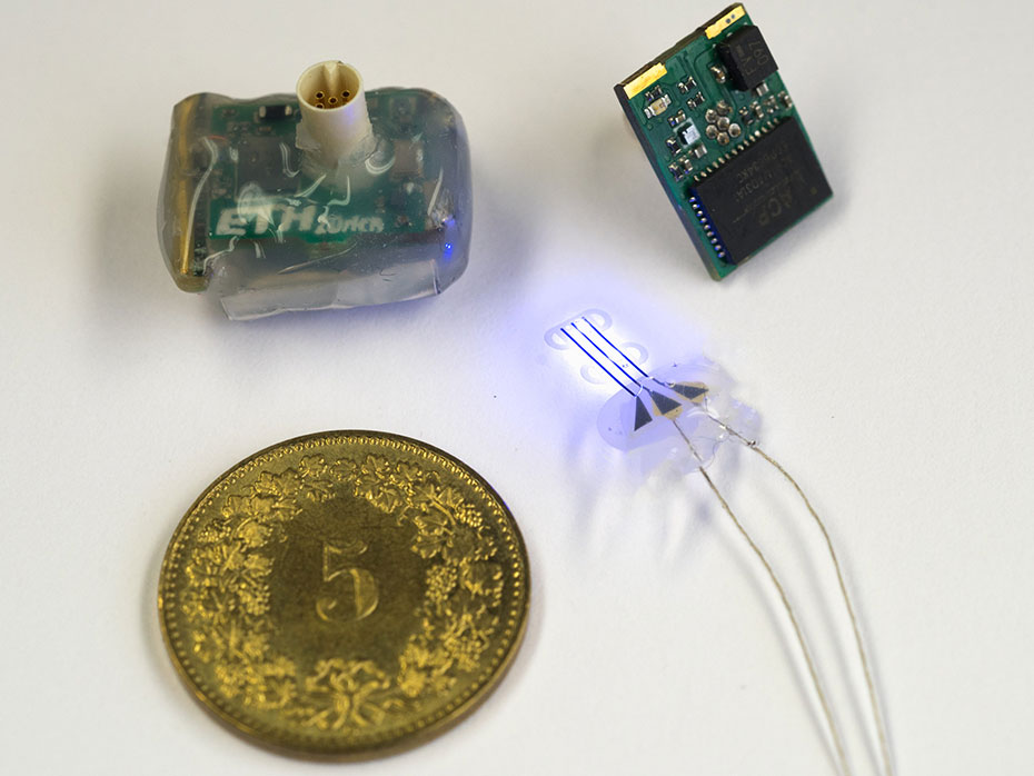 Vergr?sserte Ansicht: Das kleine LED Ansteuer-Gerät (oben links) und die LED Implantate (unten rechts) bilden zusammen die neue Neurotechnologie-Plattform. Oben rechts: Bestückte Schaltung vor der Montage von Batterie und Verpackung in Silikon.
