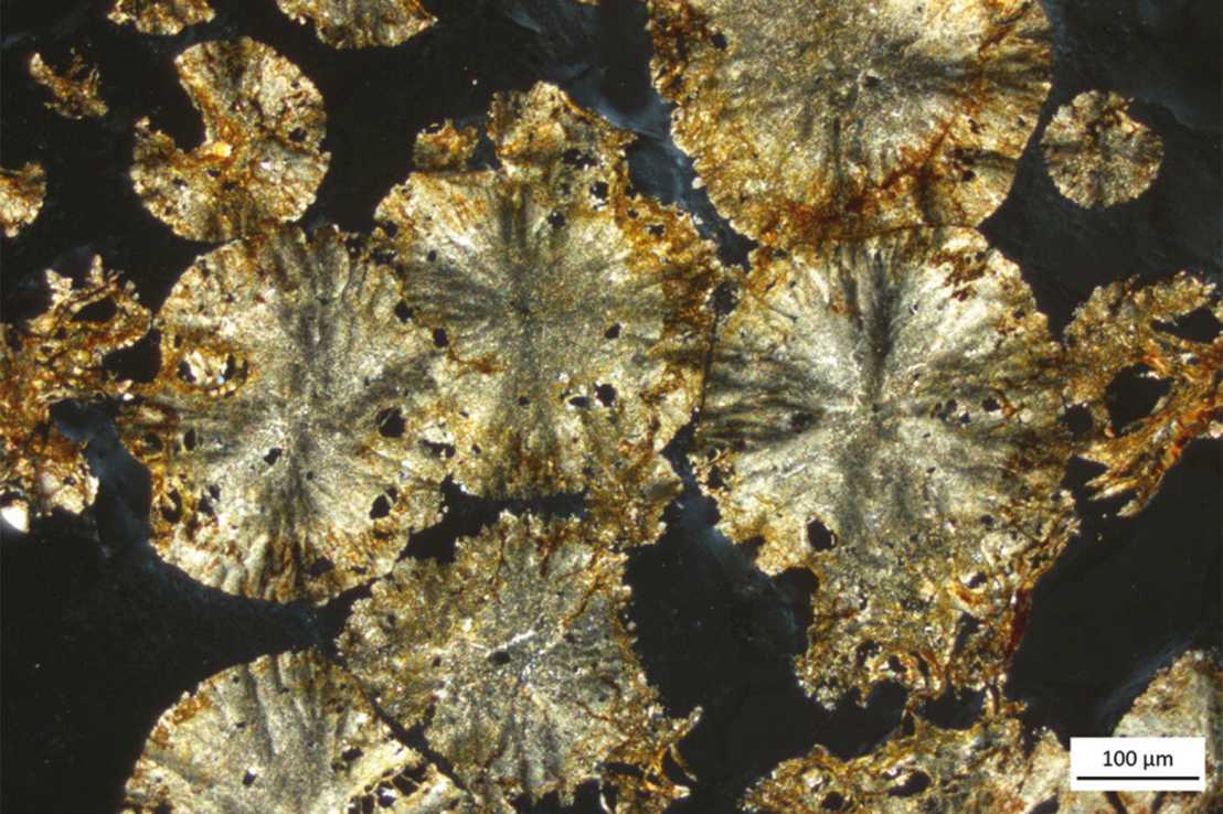 Dünnschliff von Siderit-Kugeln aus Alaska unter dem Mikroskop. (Bild: Washington State Univ/Seattle)