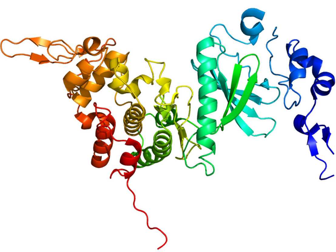 Vergr?sserte Ansicht: Protein Dyrk2