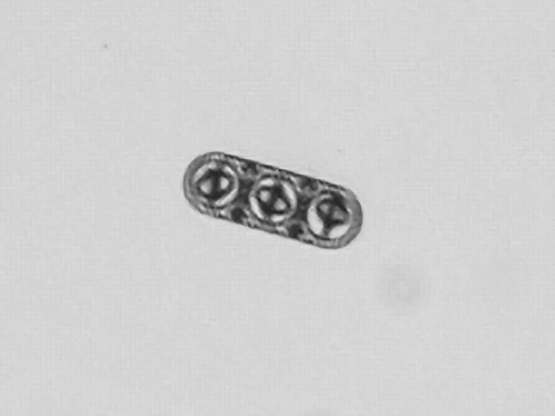 Vergr?sserte Ansicht: Mikroskopiebild eines Mikrovehikels