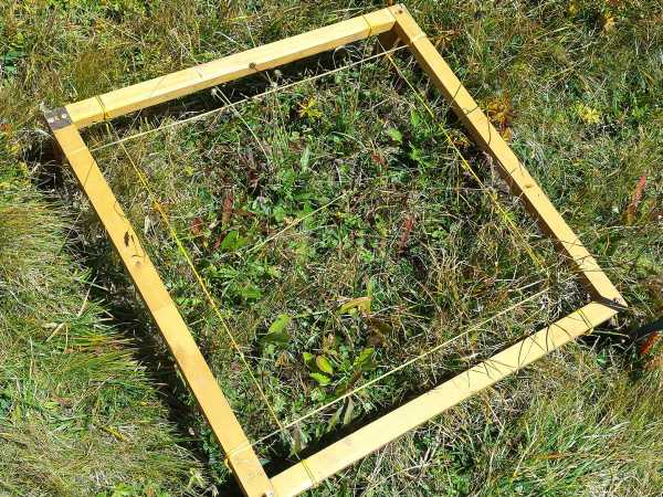 Ver?nderungen der Vegetation wurden in 50 x 50 cm grossen Quadraten mit verschiedenen Erhebungsmethoden berwacht.  (Bild: P. Descombes)