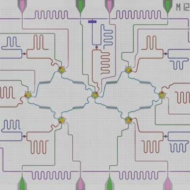 Ein 7-Qubit-Schaltkreis zur Fehlerdetektion in supraleitenden Quantencomputern