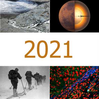 Bildcollage mit Bildern aus 2021