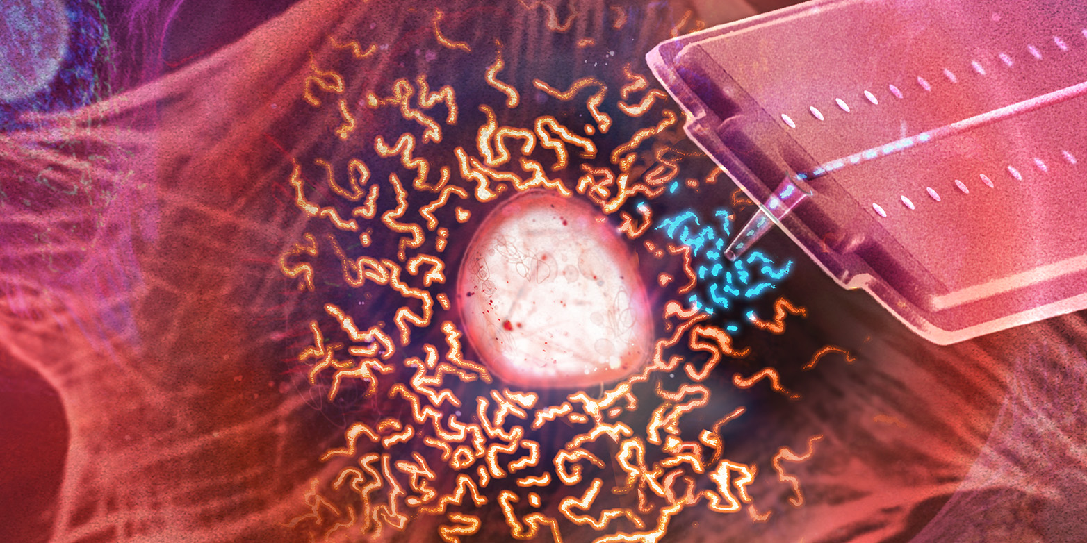 Illustration wie Forschende Mitochondrien (blau) aus einer lebenden Zelle aufsaugen