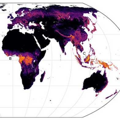Weltkarte mit unterschiedlich farbigen Gebieten (schwarz, violett, rot, orange, gelb)