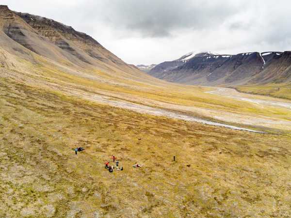 Eine Gruppe von Forschenden sitzen auf der Tundra an einem Abhang