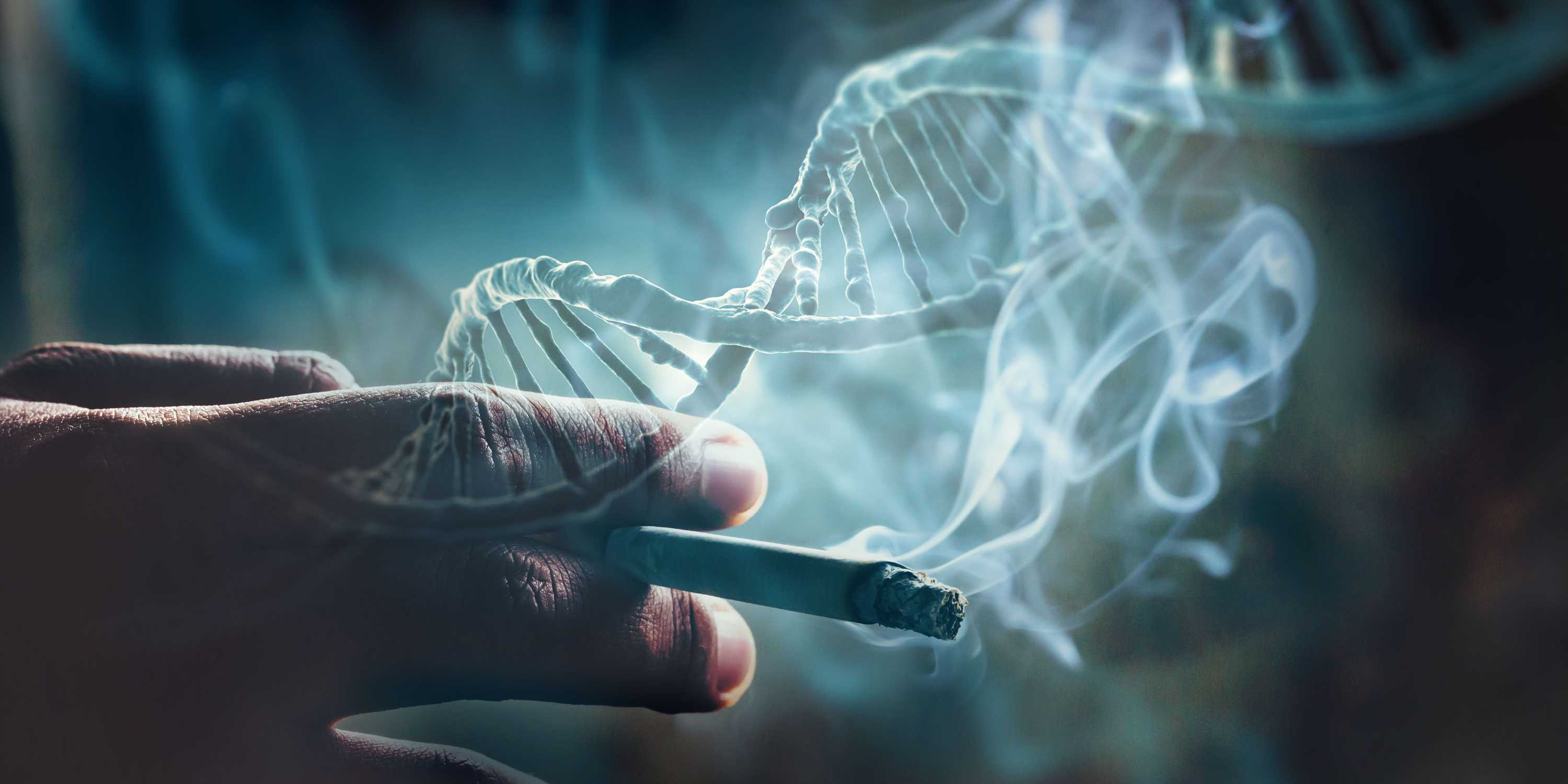 Das Bild zeigt eine Hand, die eine Zigarette hält. Darüber sind DNA-Stränge, die durchschimmernd erscheinend, zu sehen.