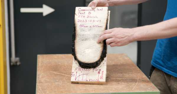 Modell des abgebrannten Holzes