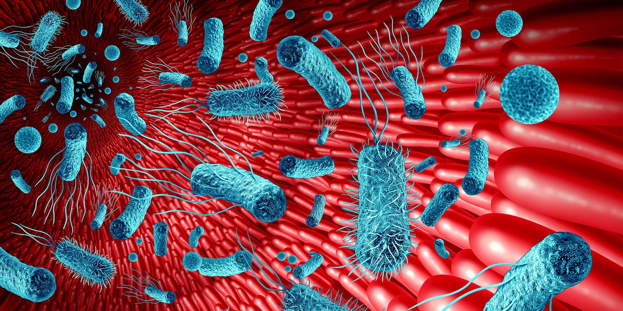 Illustration des Darms, rote Darmzotteln mit davor schwebenden Bakterien (hellblau)