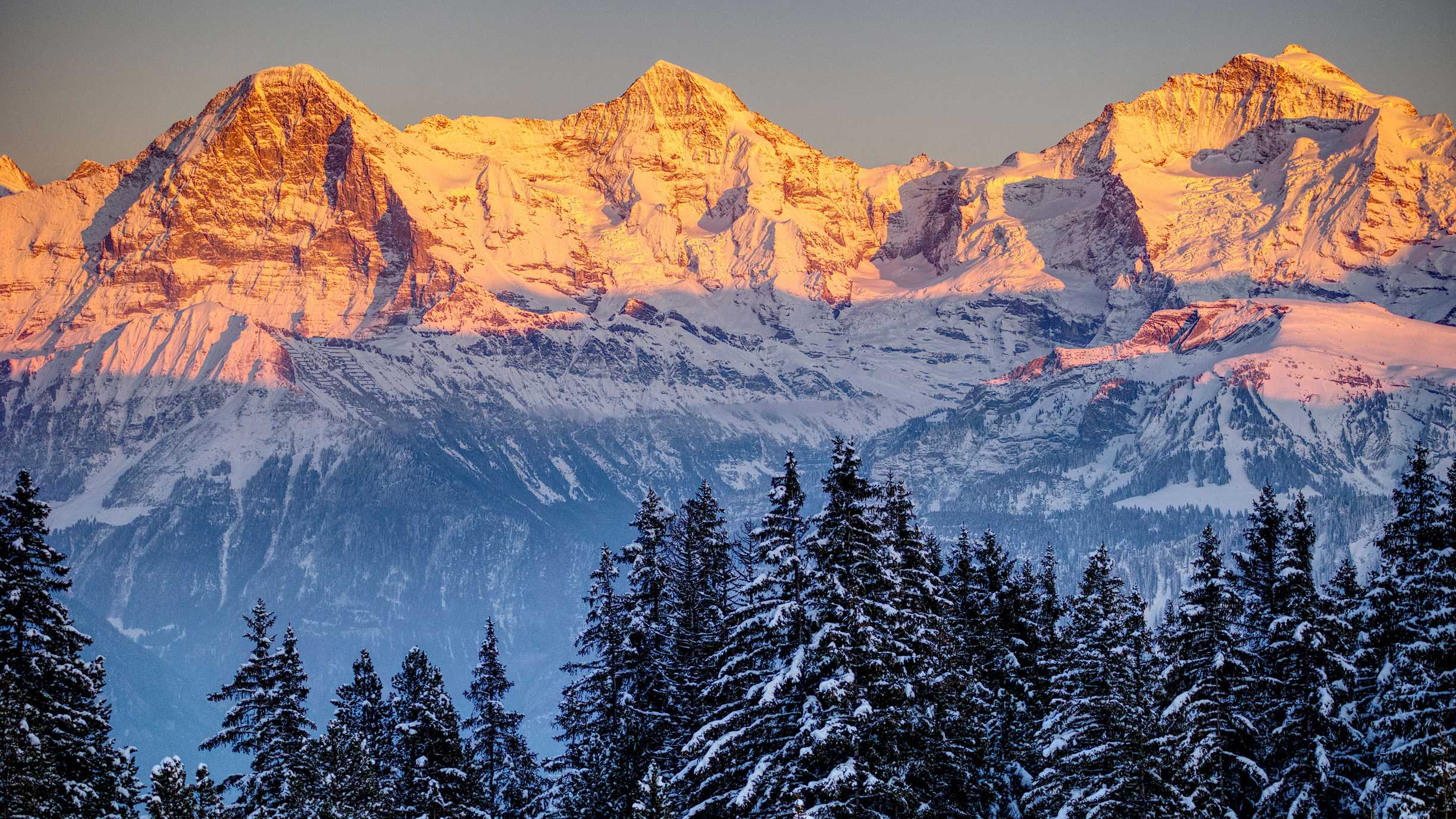 Die Schweizer Berge Eiger, Mönch und Jungfrau im rötlichen Schein der Sonne