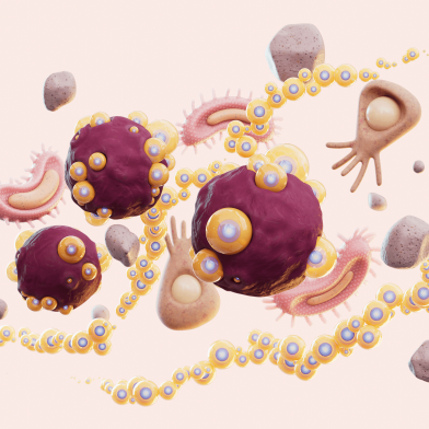 Illustration von Zellen