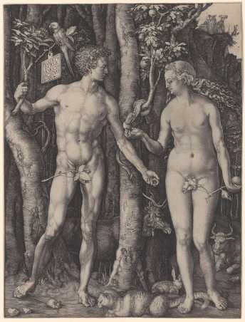This image shows a digital version of Albrecht Drer's Adam and Eve from 1504.