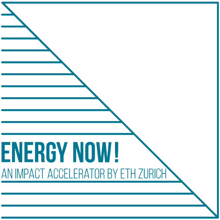Vergr?sserte Ansicht: Energy Now! Das Signet zeigt ein Wappen des KAntons Zürich mit dem Schriftzug der ETH-Initiative.
