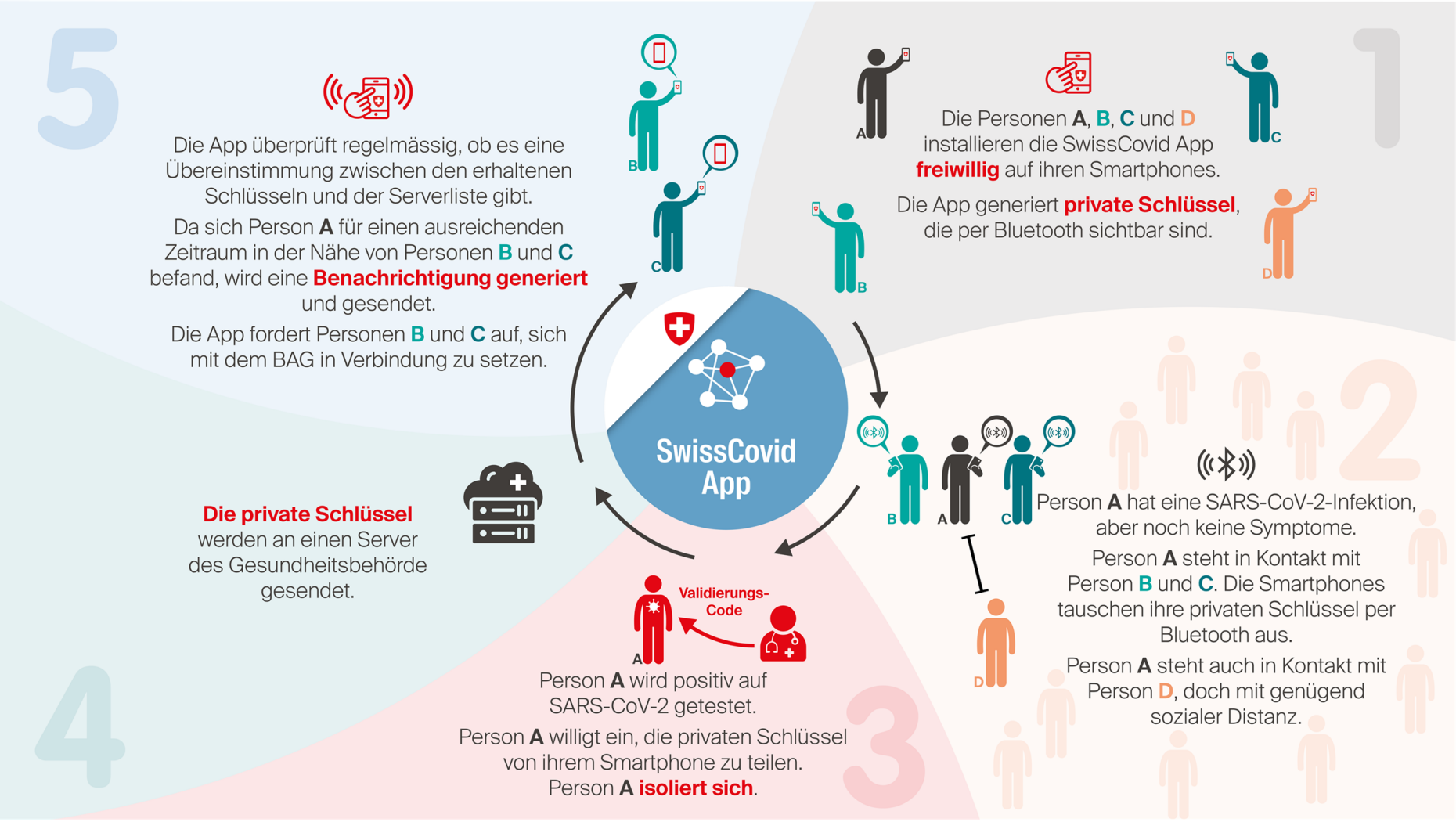 Vergr?sserte Ansicht: Infografik SwissCovid App